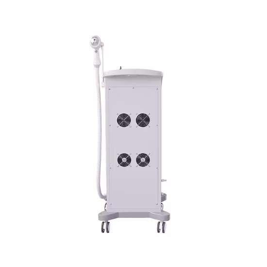 Skin Rejuvenation Ladies Vagina Hair Removal Machine Price Hair Remover Machine for Women